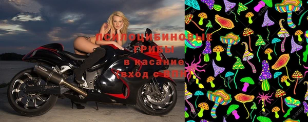 винт Баксан