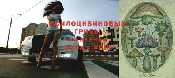 винт Баксан